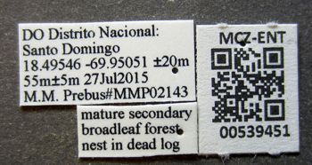 Media type: image;   Entomology 539451 Aspect: labels